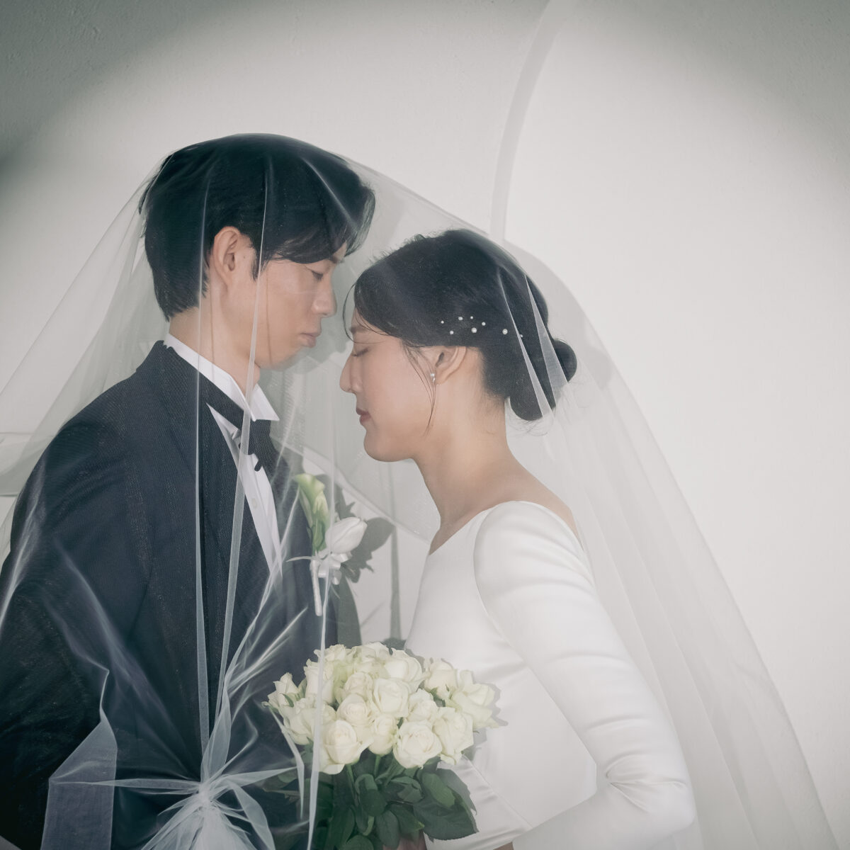 静かな光のコレクション